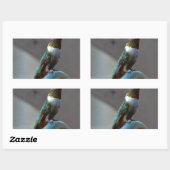 Groene Ruby kleine Hummingbird Rechthoekige Sticker (Vel)
