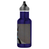 Groene Ruby kleine Hummingbird Waterfles (Rechts)