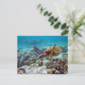 Groene schildpad briefkaart (Staand voorkant)