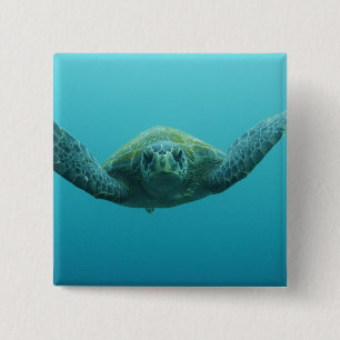 Groene Schildpad (Chelonia mydas agassisi), Centra Vierkante Button 5,1 Cm