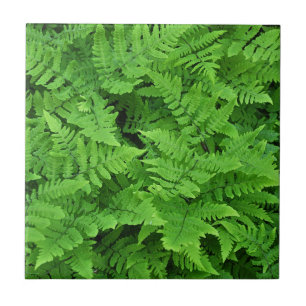 Groene schoonheid tegeltje