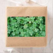 Groene shamrocks Blank Labels (Insitu)