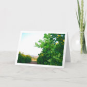 Groene Sinaasappels op Tree Kaart (Voorkant)