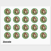 Groene Sinterklaas Kerst stickers (Vel)