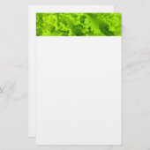 Groene sla briefpapier (Voorkant / Achterkant)
