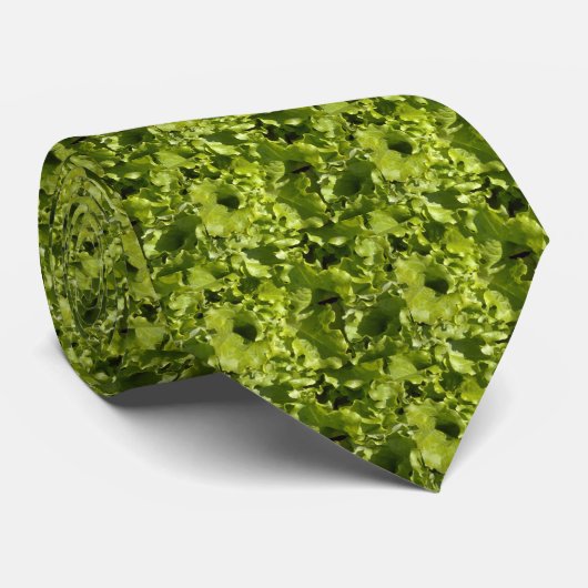 Groene sla stropdas (Opgerold)