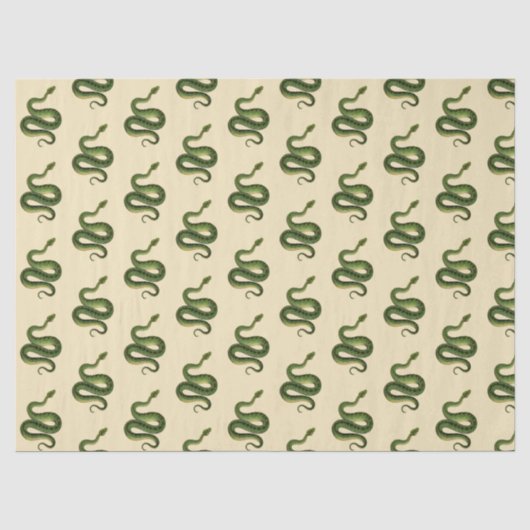 Groene slang tissuepapier (Voorkant)