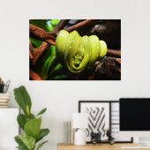 Groene slangendier poster (Thuiskantoor)