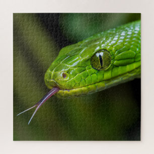 Groene Slangenkop Legpuzzel