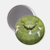 Groene Slangenproduct Magneet (Voorkant / Achterkant)