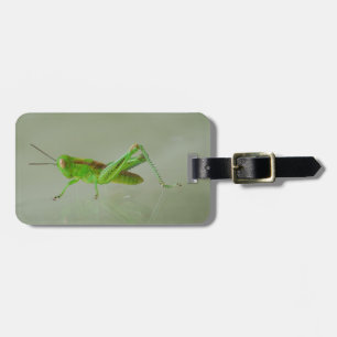 Groene sprinkhaan bagagelabel