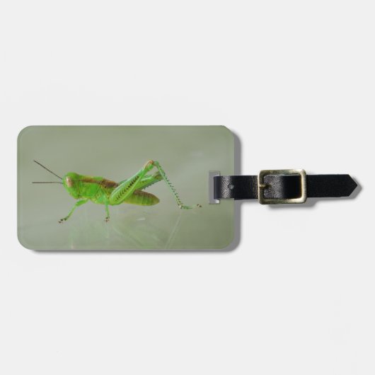 Groene sprinkhaan bagagelabel (Voorkant horizontaal)