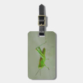 Groene sprinkhaan bagagelabel (Voorkant verticaal)