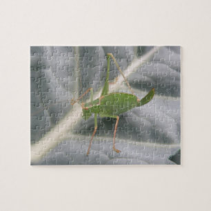 Groene sprinkhaan macro puzzel