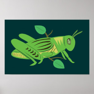 Groene sprinkhaan poster