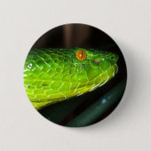Groene Stejneger's pit viperslang Ronde Button 5,7 Cm (Voorkant)