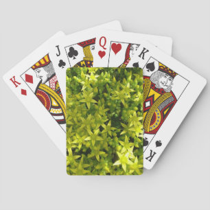 groene ster als bloemen kruidenplant speelkaarten