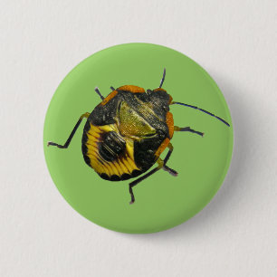 Groene Stink Bug Nymph Coördinerende Punten Ronde Button 5,7 Cm