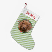 Groene Strepen Evergreen Krans Pet Dog Foto Kleine Kerstsok (Voorkant (Hangend))