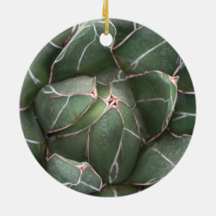 Groene Succulent Circle Ornament