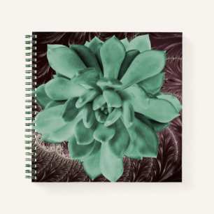 Groene succulent Echeveria Apus Close-up Foto Notitieboek