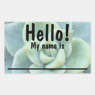 Groene Succulent Naam tag Stickers