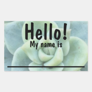 Groene Succulent Naam tag Stickers