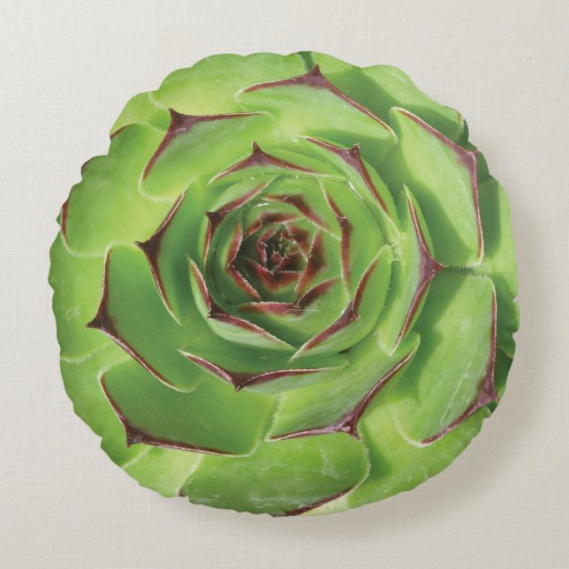 Groene Succulente Cactus Spring Flower Rond Kussen (Voorkant)