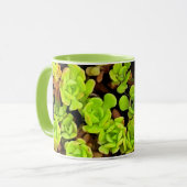 Groene Succulente Flowers Mok (Voorkant links)