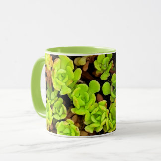 Groene Succulente Flowers Mok
