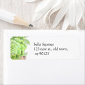 Groene Succulenten Bruiloft Adresetiketten Etiket (Insitu)