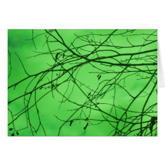 Groene Takken