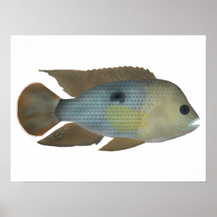 Groene terreur poster