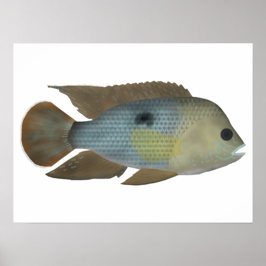 Groene terreur poster (Voorkant)