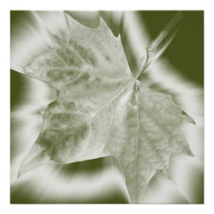 groene tinten perfect poster