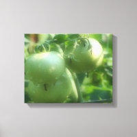 Groene tomaten op wijn