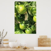 Groene tomaten poster (Keuken)