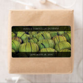 Groene Tomatillos / Schil Tomaten Etiket (Insitu)