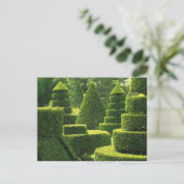 Groene Topiary - Briefkaart (Staand voorkant)