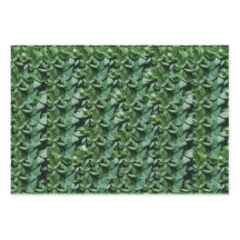 Groene Tora verlaat Botanical