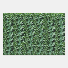 Groene Tora verlaat Botanical Inpakpapier Vel