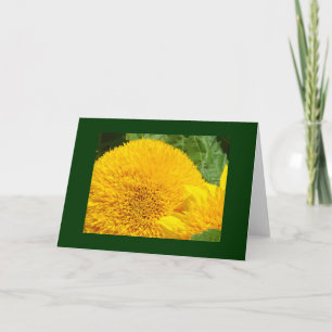Groene Tuin Kaarten Zonnebloemen Personaliseren