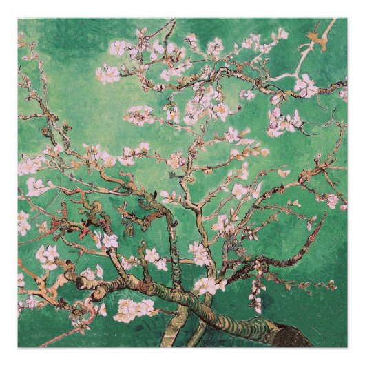 Groene Van Gogh Amandelbloesems Perfect Poster (Voorkant)