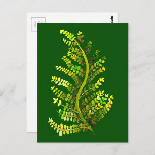 Groene varenblad plant kunst briefkaart