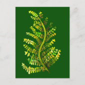Groene varenblad plant kunst briefkaart (Voorkant)