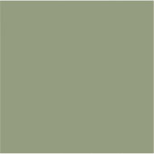 Groene, vaste kleur sticker (Voorkant)