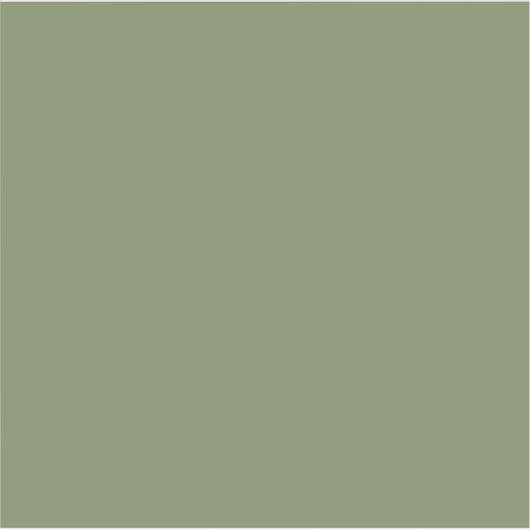 Groene, vaste kleur sticker (Voorkant)