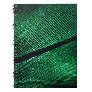 Groene veer, mooie patroontextuur. notitieboek