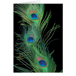 Groene veren met zwart