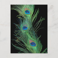 Groene veren met zwart